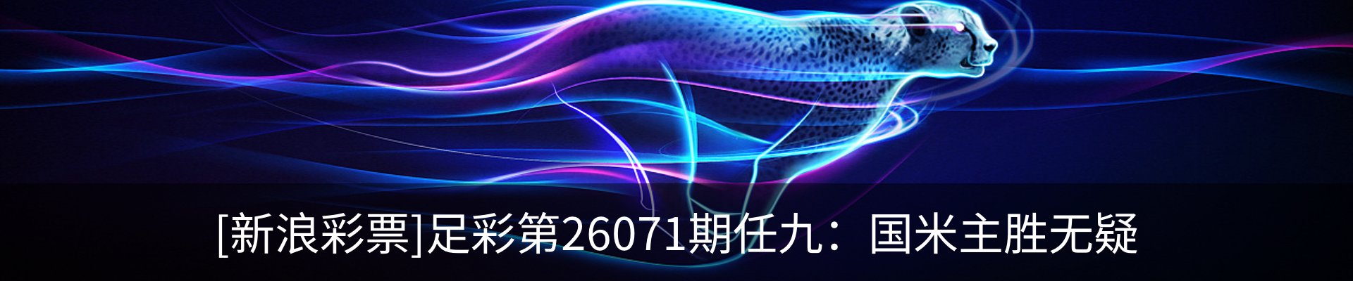 新闻动态